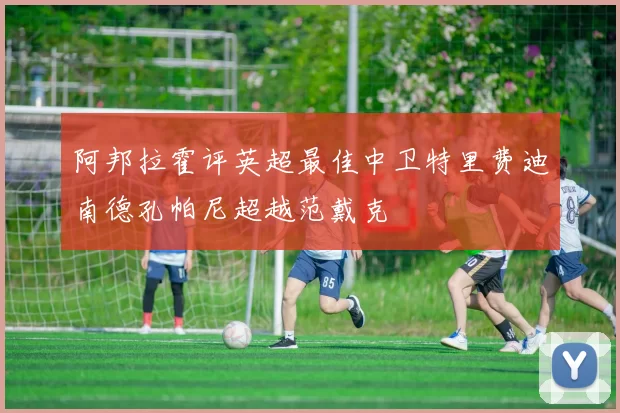 阿邦拉霍评英超最佳中卫特里费迪南德孔帕尼超越范戴克